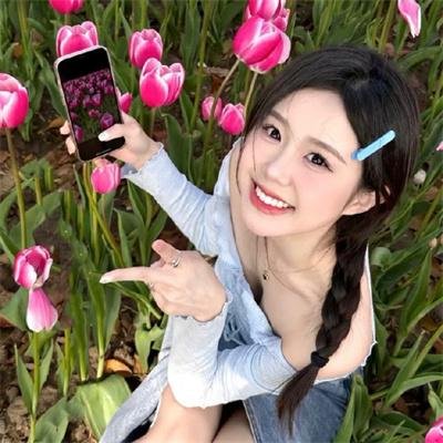 叶问4:完结篇